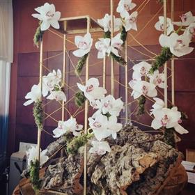 fwthumbHotel lobby flowers Cymbidium orchids Runnymede Hotel Lilys Flowers Lightwater.jpg
